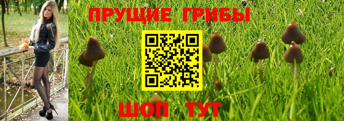 Галлюциногенные грибы прущие грибы Чистополь